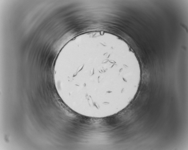 X0000103901242200810171606