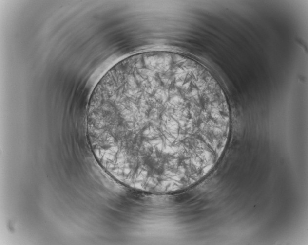 X0000103901244200810171606