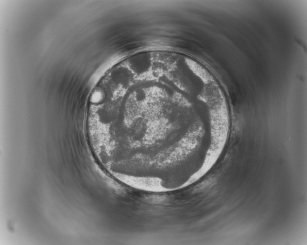 X0000103901245200810171606