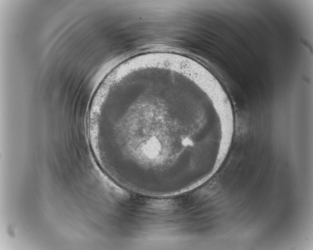 X0000103901247200810171606