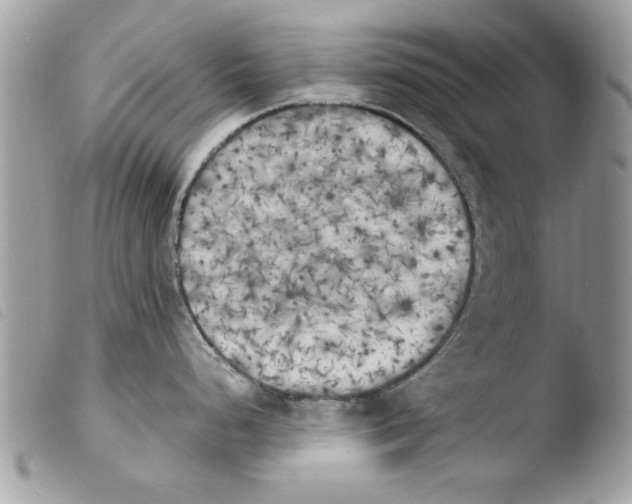 X0000103901248200810171606