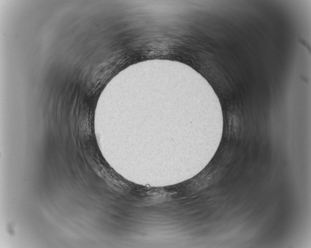 X0000103901250200810171606