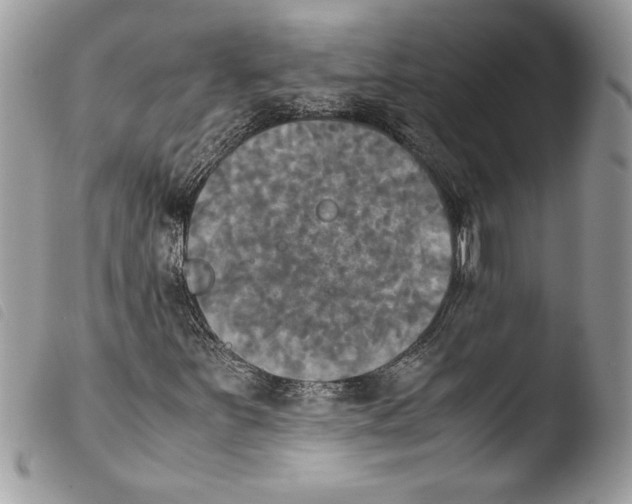 X0000103901251200810171606