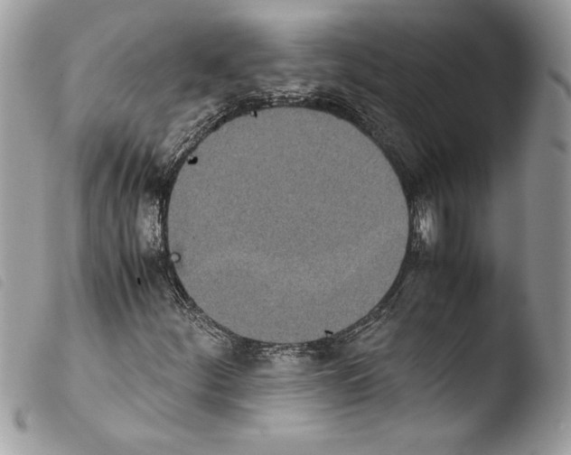 X0000103901252200810171605