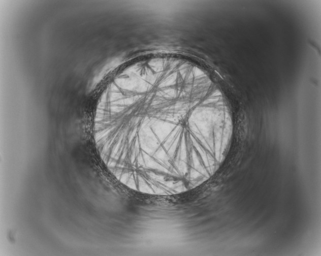 X0000103901255200810171605