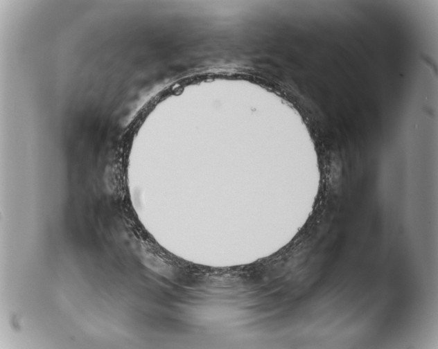 X0000103901256200810171605