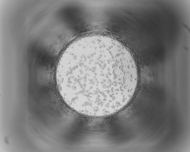 X0000103901257200810171605