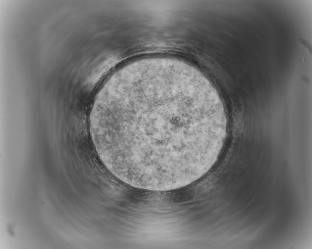 X0000103901259200810171605