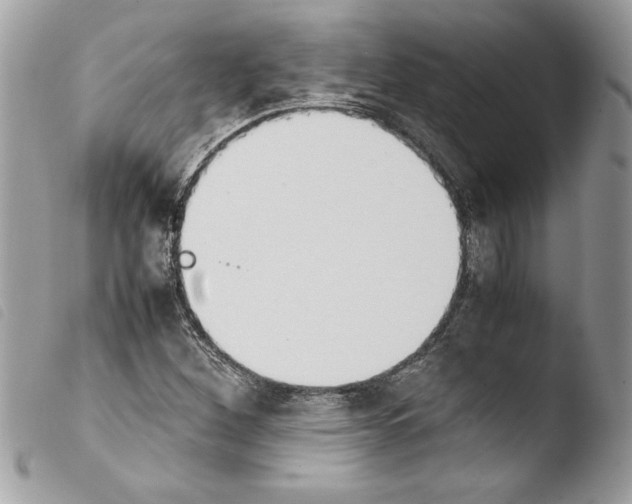 X0000103901260200810171605