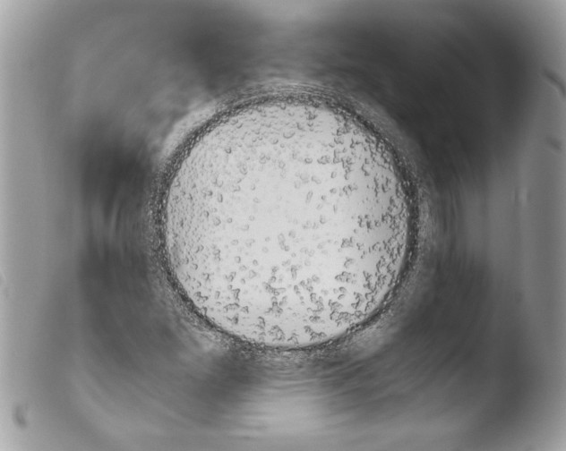 X0000103901261200810171605