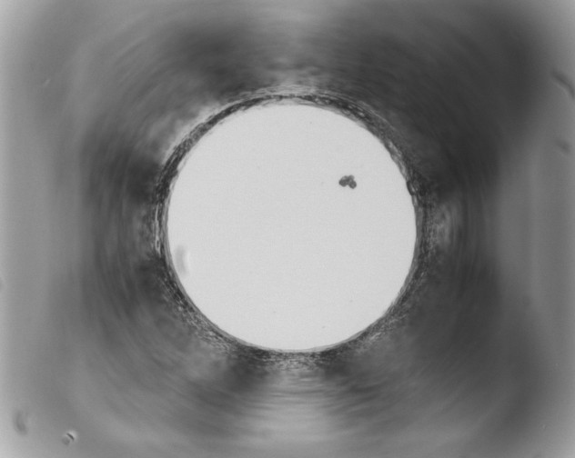 X0000103901262200810171605