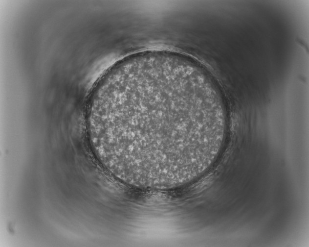 X0000103901263200810171605