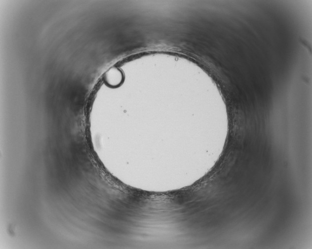 X0000103901264200810171605