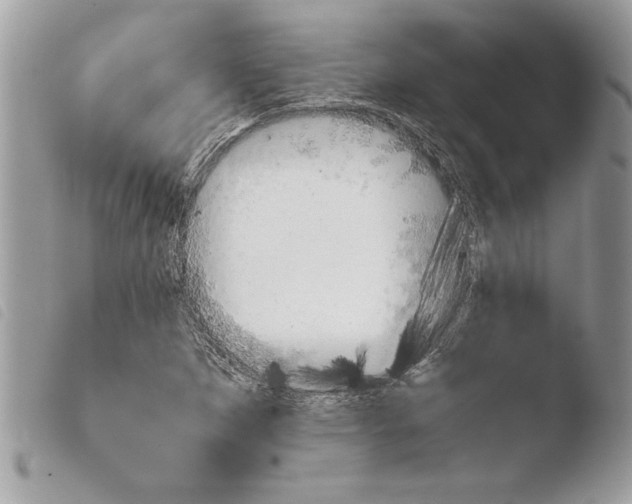 X0000103901265200810171605