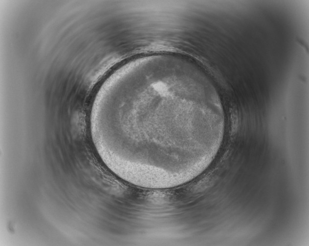 X0000103901266200810171605