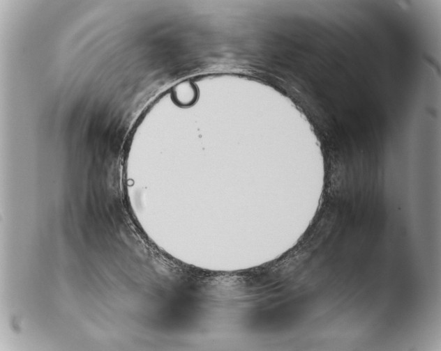 X0000103901268200810171605