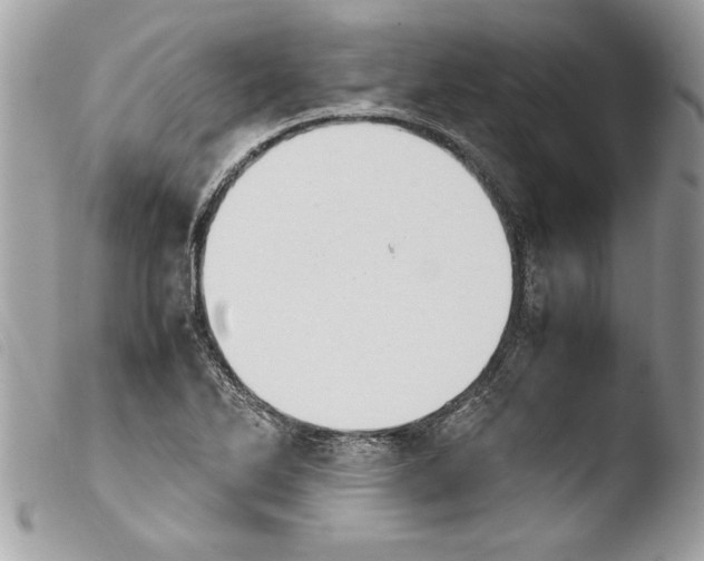 X0000103901270200810171605