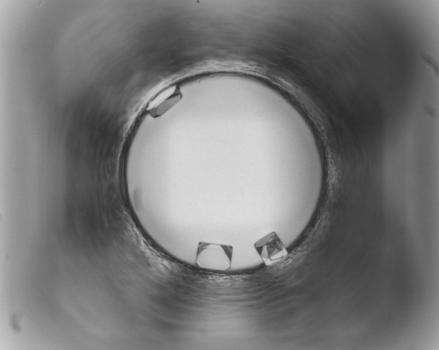 X0000103901272200810171605