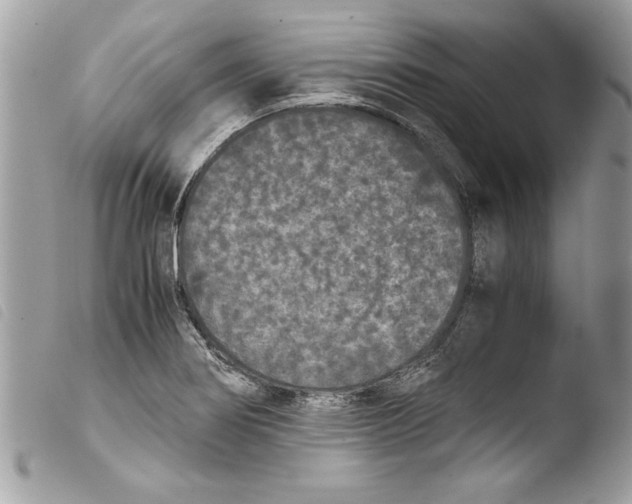 X0000103901274200810171605