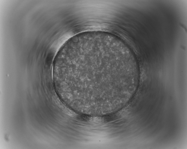 X0000103901275200810171605