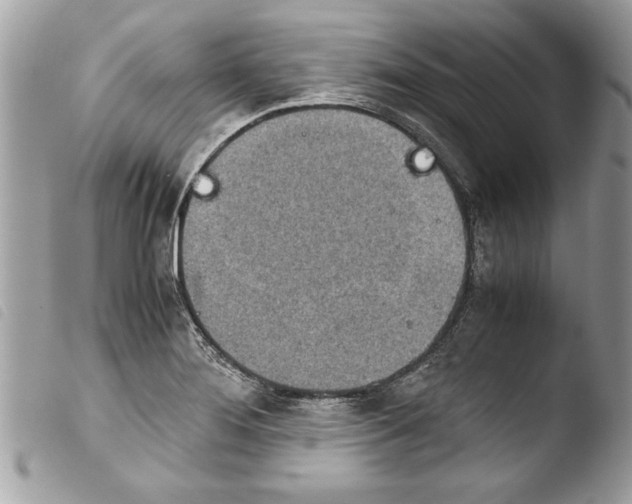 X0000103901276200810171605