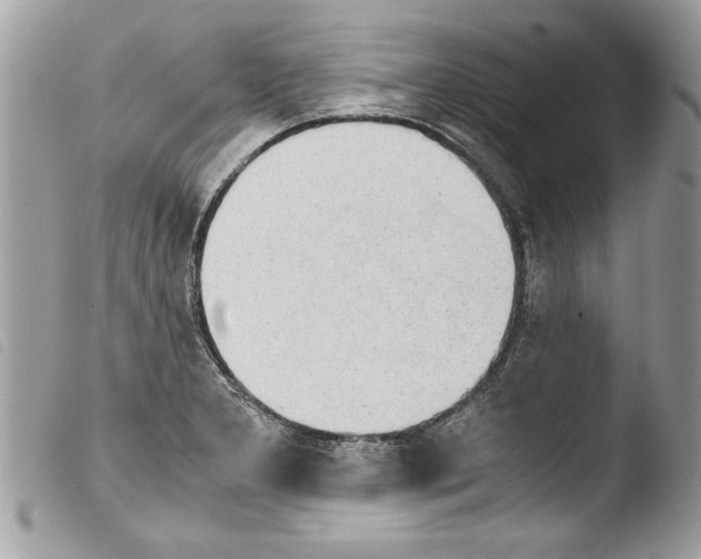 X0000103901277200810171605