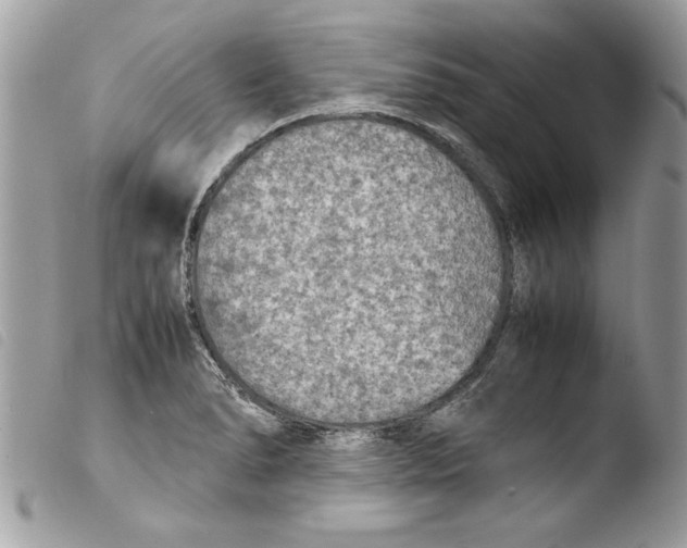 X0000103901278200810171605