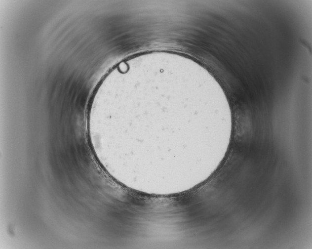 X0000103901280200810171605