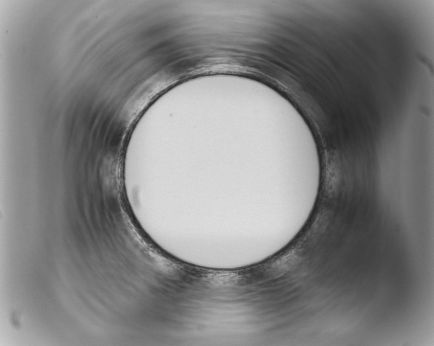 X0000103901282200810171605