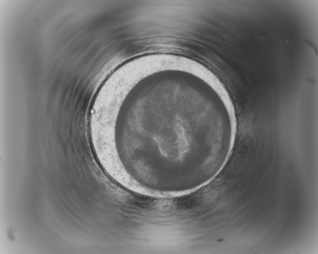 X0000103901283200810171605