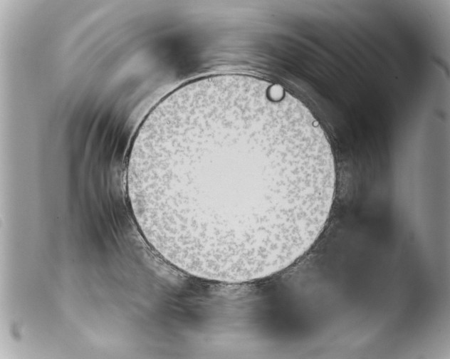 X0000103901284200810171605