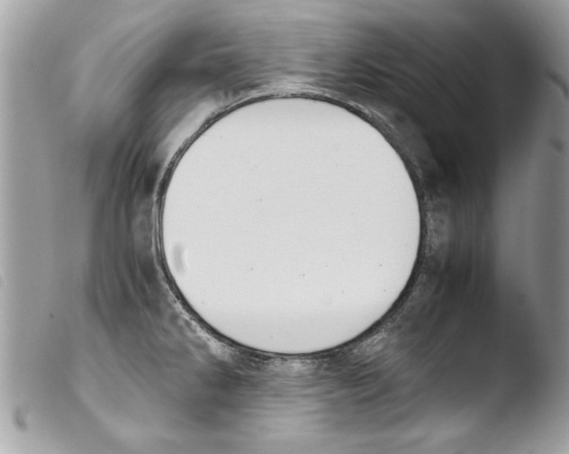 X0000103901286200810171605