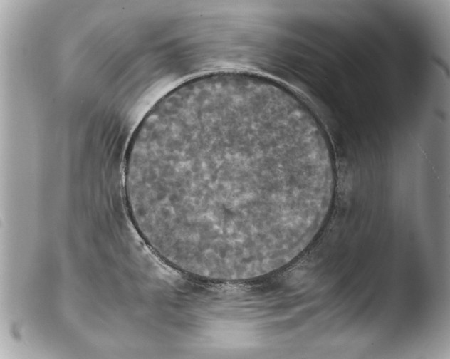 X0000103901287200810171605