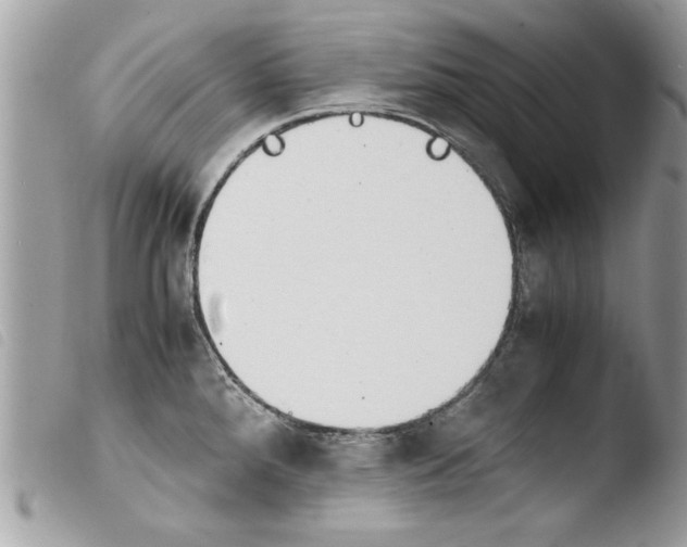 X0000103901288200810171605