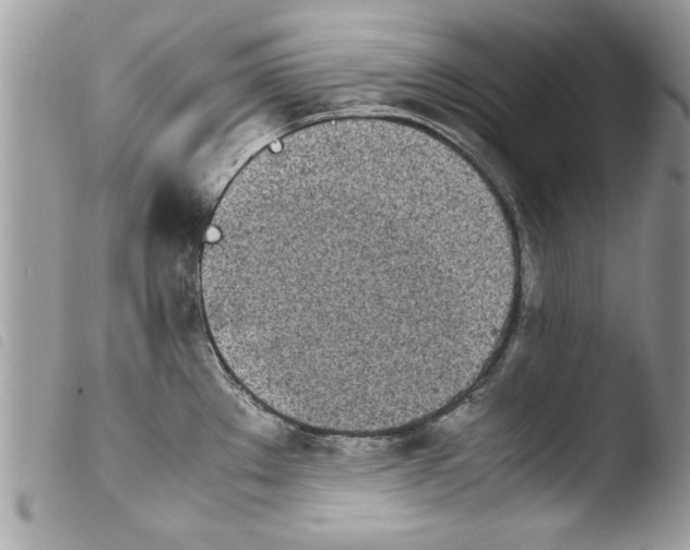 X0000103901289200810171605