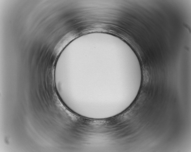 X0000103901290200810171605