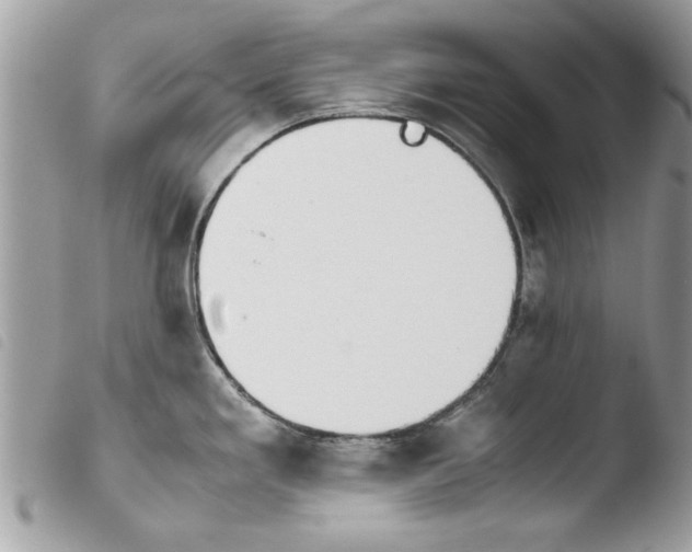 X0000103901293200810171605