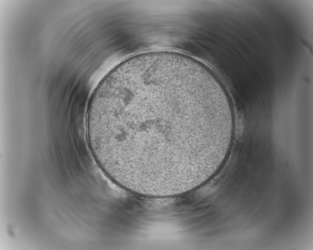 X0000103901294200810171605