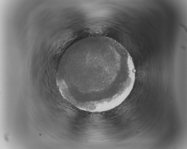 X0000103901297200810171604