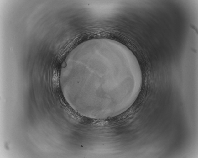 X0000103901298200810171604