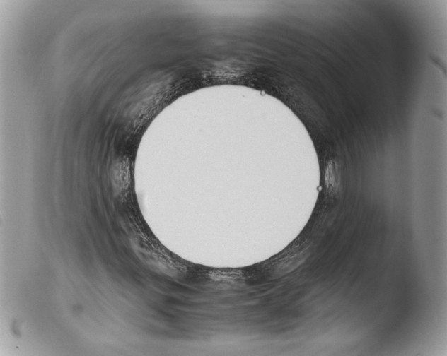 X0000103901299200810171604