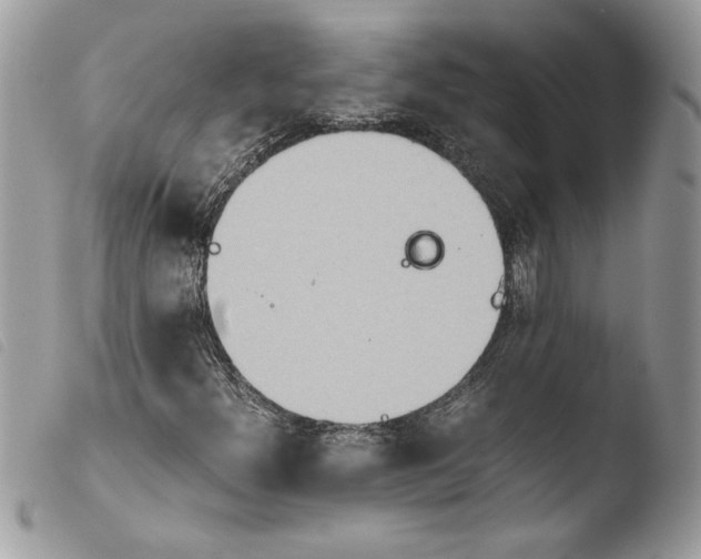 X0000103901300200810171604