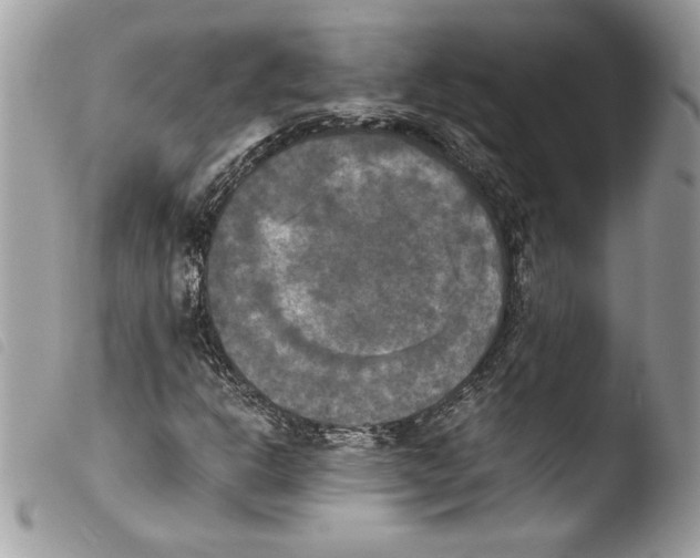 X0000103901302200810171604