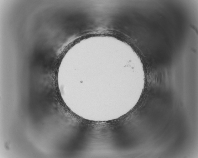 X0000103901304200810171604