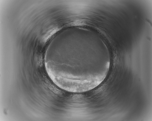 X0000103901306200810171604