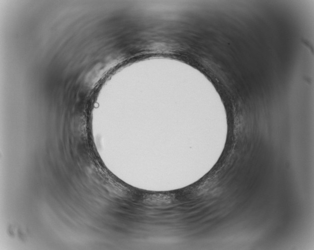 X0000103901307200810171604