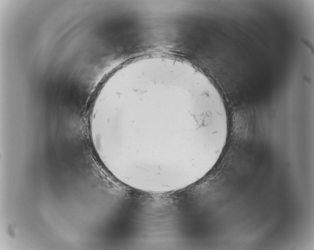 X0000103901308200810171604