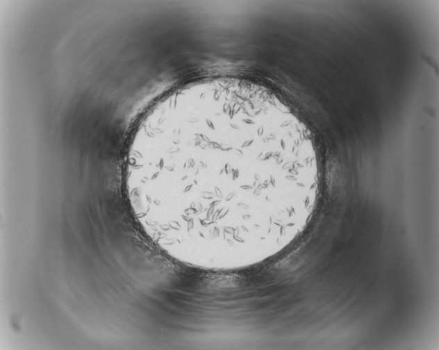 X0000103901309200810171604