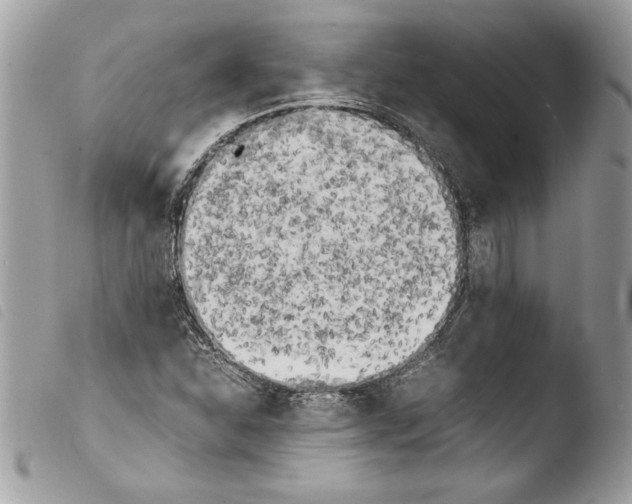 X0000103901310200810171604