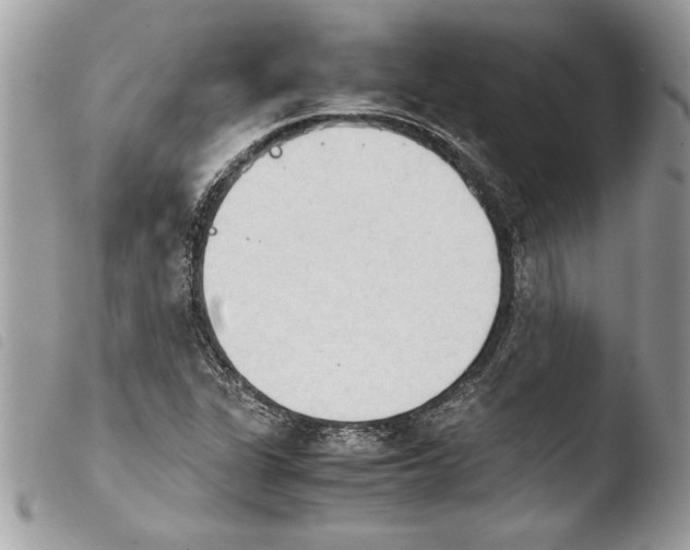 X0000103901311200810171604